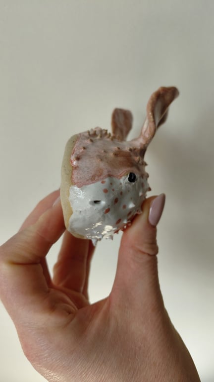 kuglefisk/Pufferfish stor billede 5