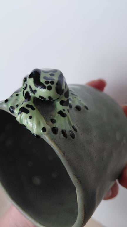 giftfrø kop billede 5