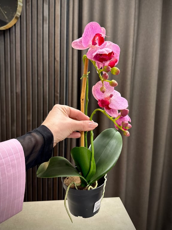 Orkidé pink lille billede 5