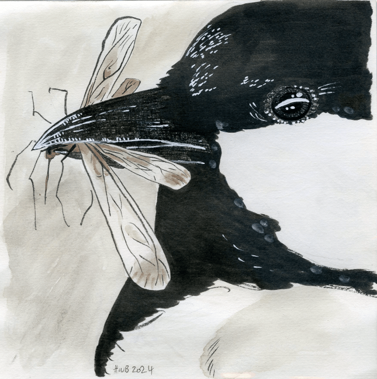 N2 - 16