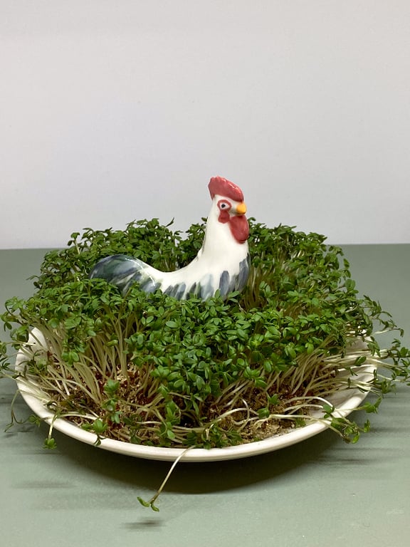 Påskeplatte med dyr - Hane