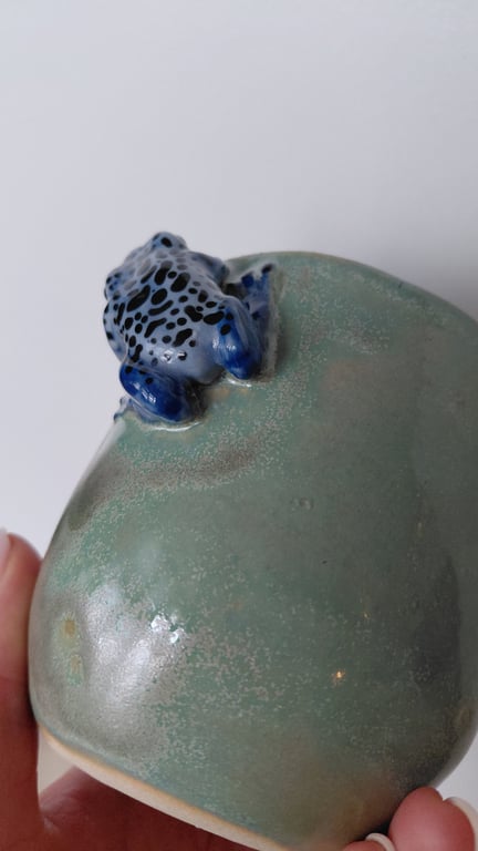 giftfrø kop billede 5