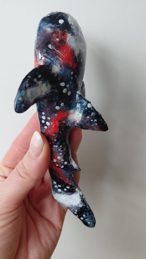 nebula hvalhaj, væghængt  (2)