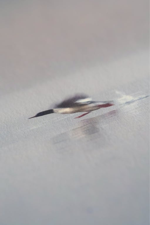 Running duck billede 2