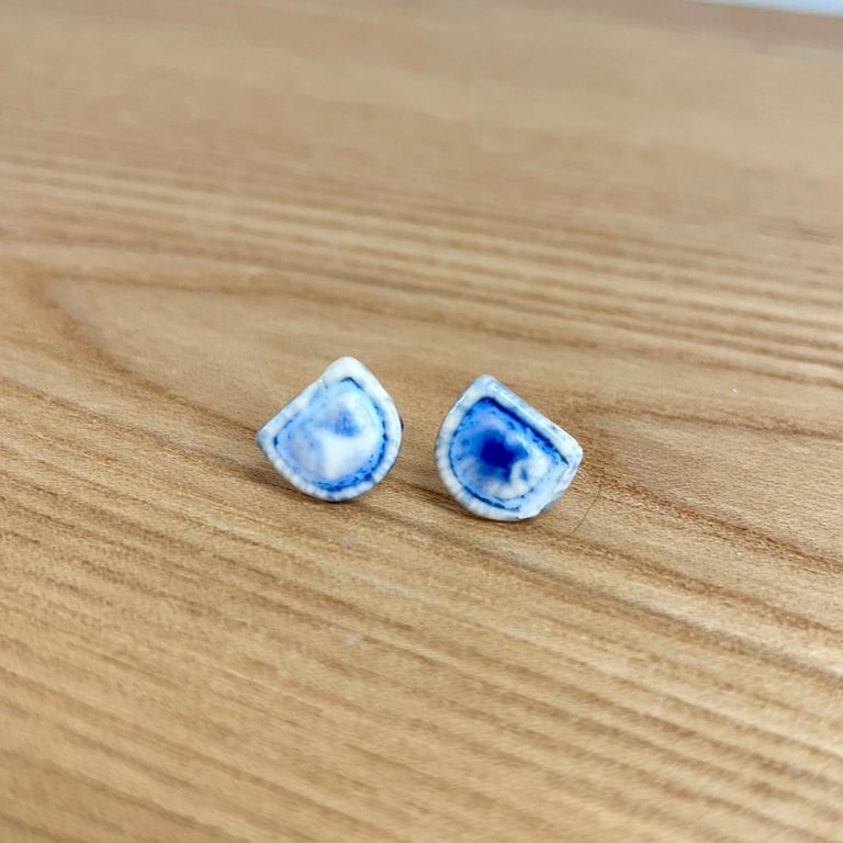 Blå og Hvide Ørestikkere billede 6