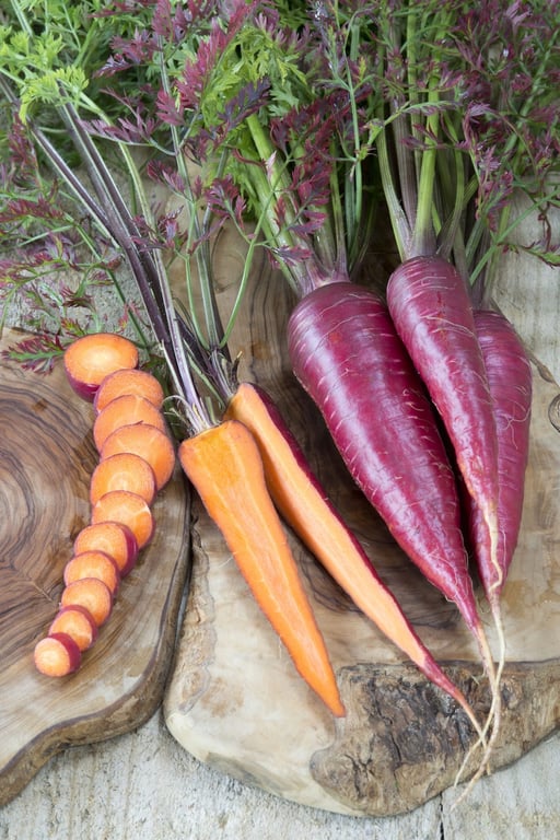 Billede af lilla og orange gulerødder med grønne toppe, lagt på rustikke træskiver.