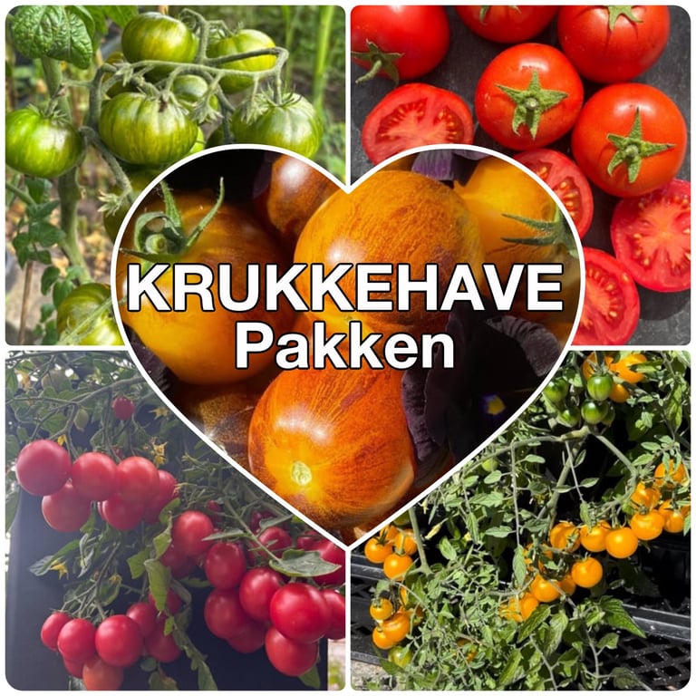 Billede viser fem afgrøder af tomater i forskellige farver – grønne, røde, orange og brune – arrangeret i en collage med teksten "KRUKKEHAVE Pakken" i et hjerte i midten.