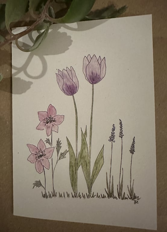 Pakke 2 - Private - 10-pak med 2 typer, A7