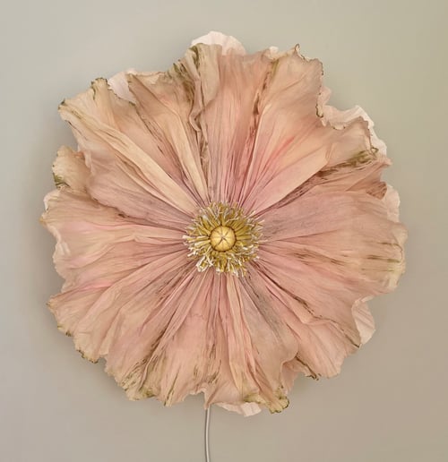 Stor, sart lyserød valmueblomst med fine folder og gule støvknapper i midten, set ovenfra mod en neutral baggrund. (1)