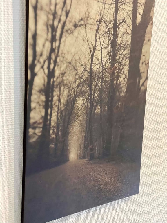 Path billede 2