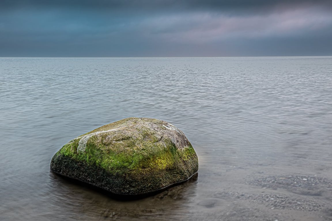 Naturens skulptur foreviget ved Præstø.