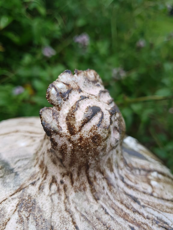 Syngende i sky - skulptur  billede 2