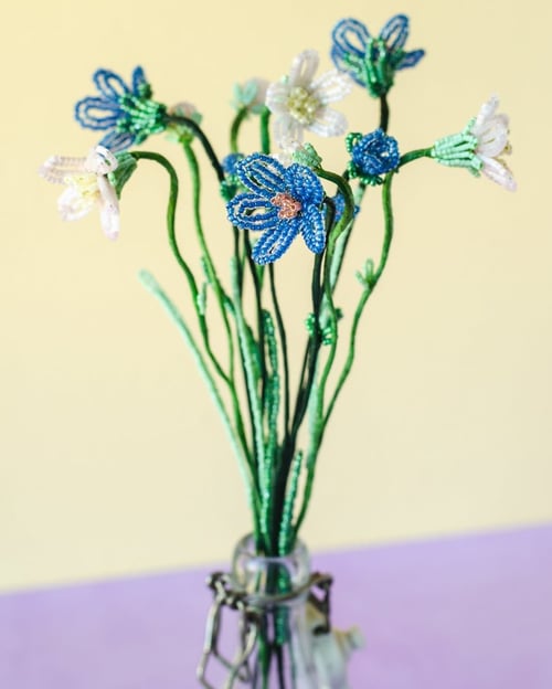 Blå perleblomst (3)