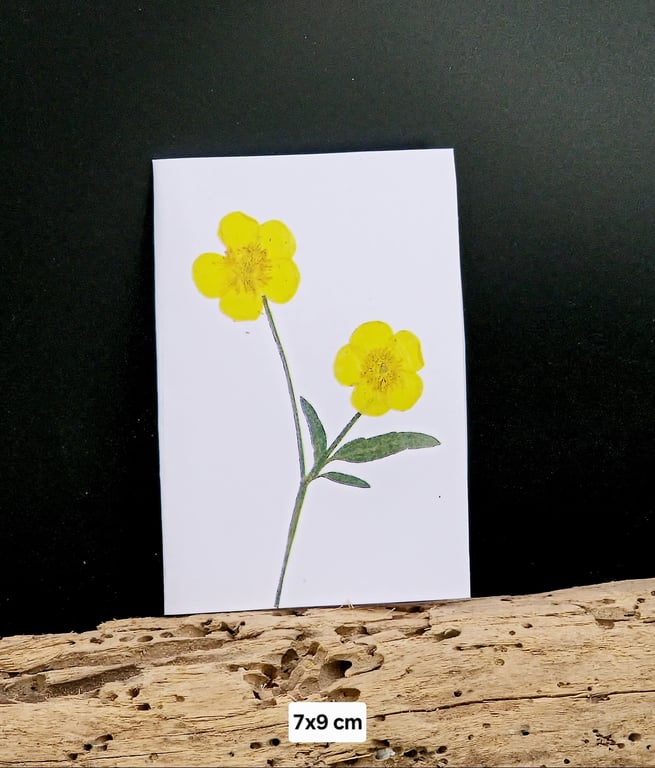 Smørblomst kort.