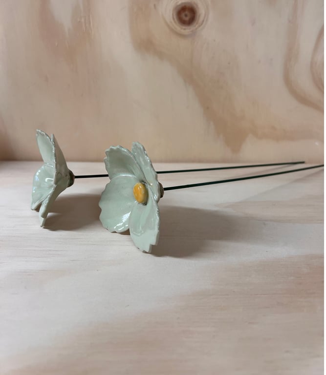 Lysegrøn blomst på stilk  billede 3