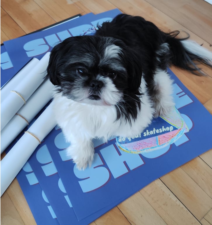 do you! x Oli, Support Your Local Skateshop, Poster (2)