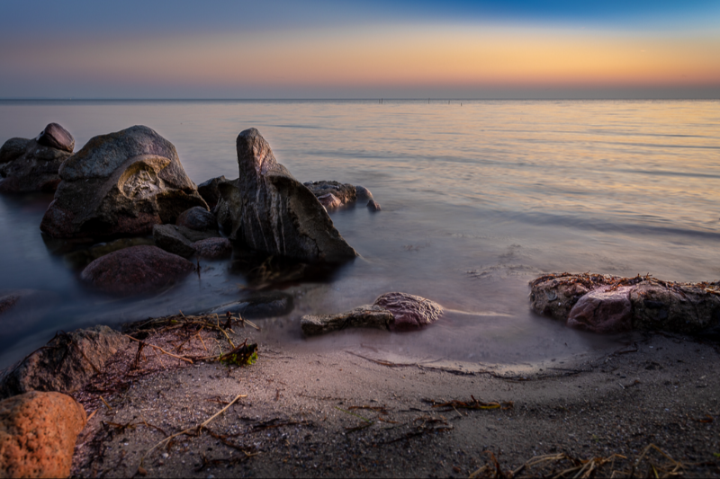 "Morgenstund har guld i mund" på Roneklint i Præstø