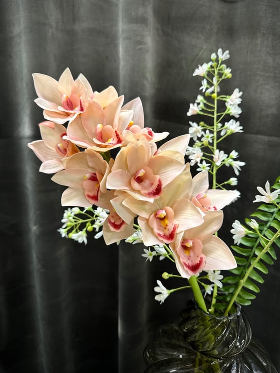 Cymbidium mix  billede 2