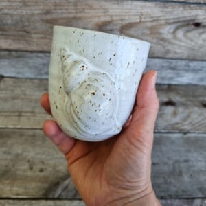 Konkylie kop – produktbillede