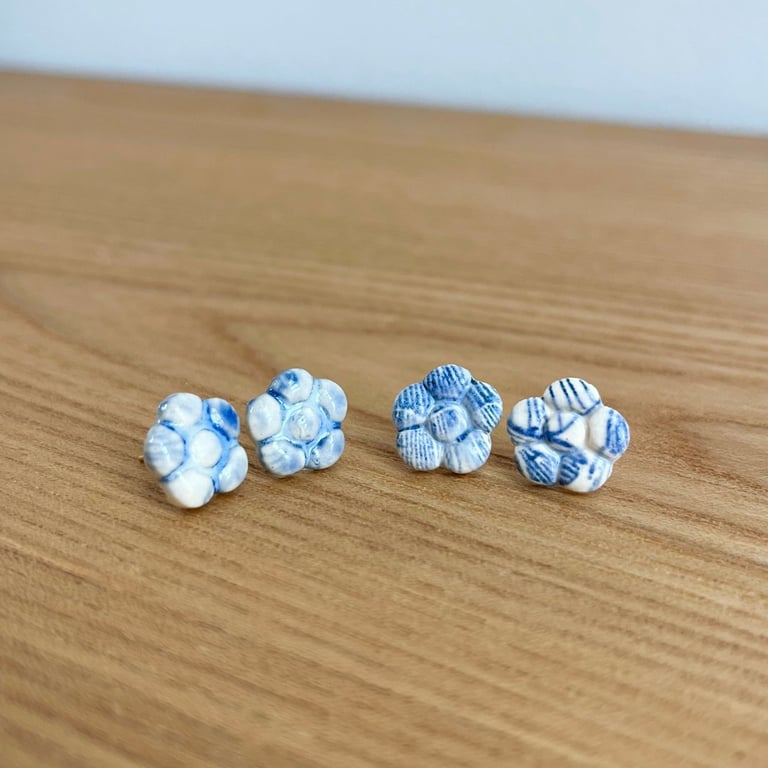 Blå og Hvide Ørestikkere billede 10