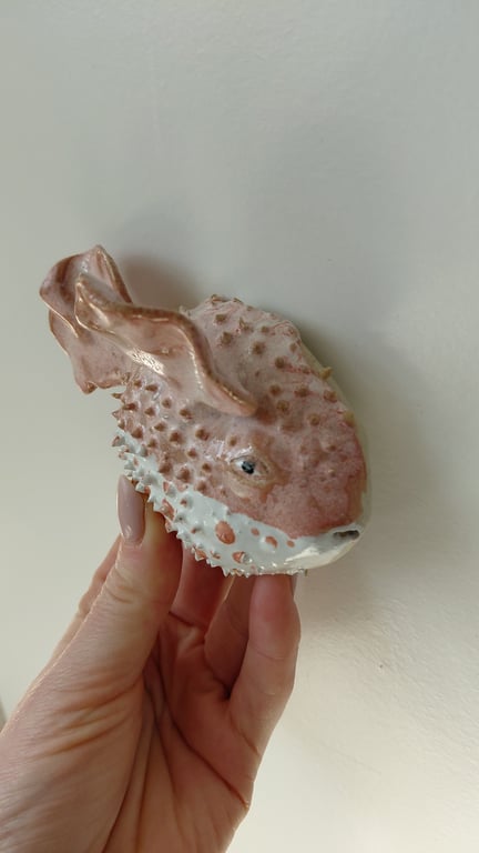kuglefisk/Pufferfish stor billede 2