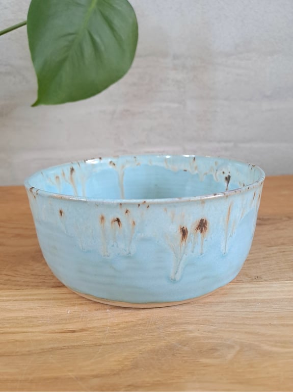 Slikskålen er 15 cm i diameter og 6,5 cm høj billede 2