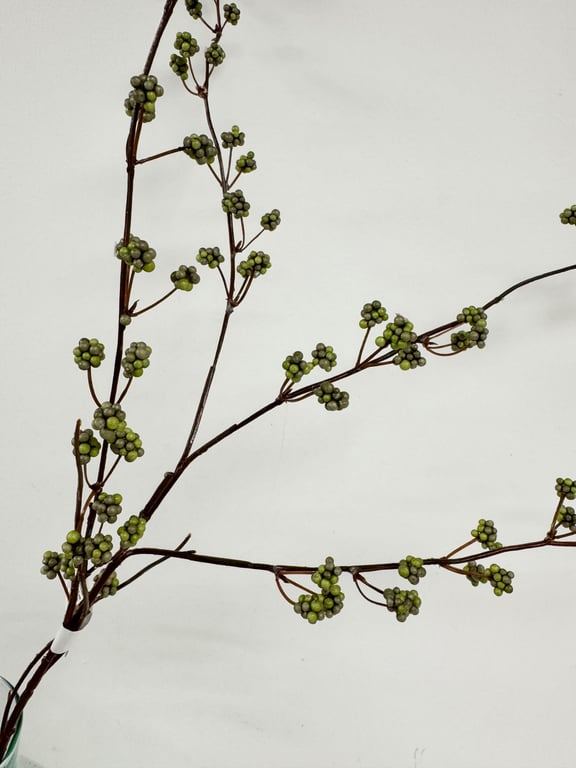 Grøn bær  billede 2