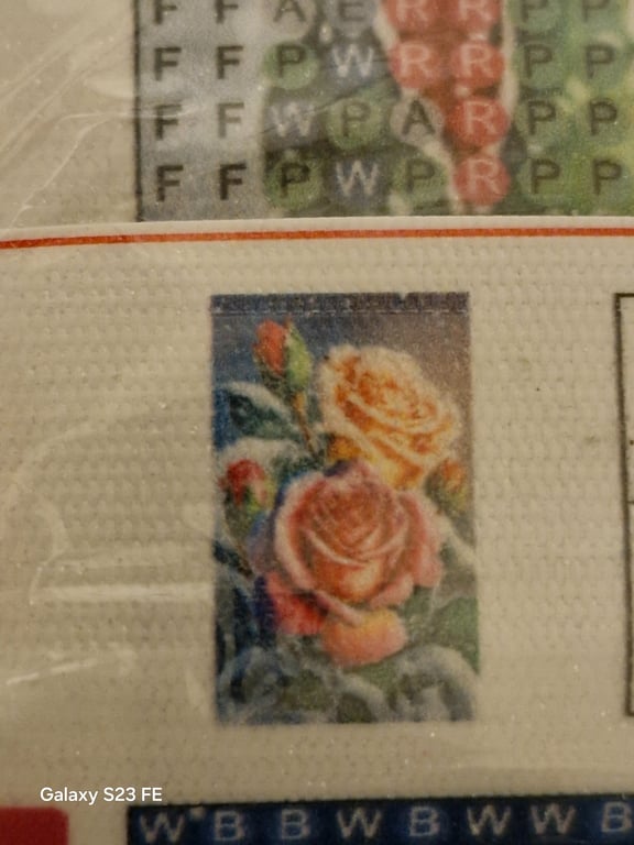 Her er der et rigtig pænt billede med nogle pæne blomster på og den er 20/30 