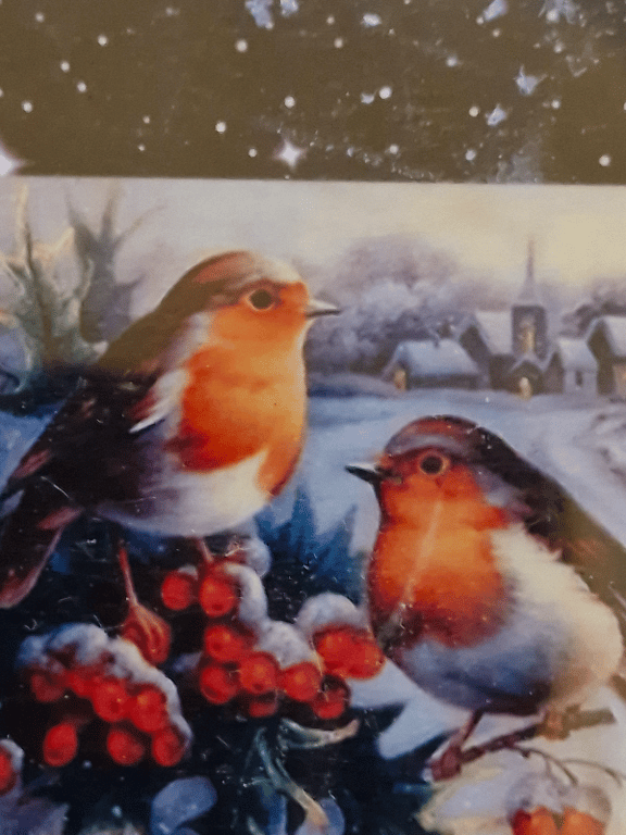 Et pænt vinter billede med fugle på den er 35 ×45