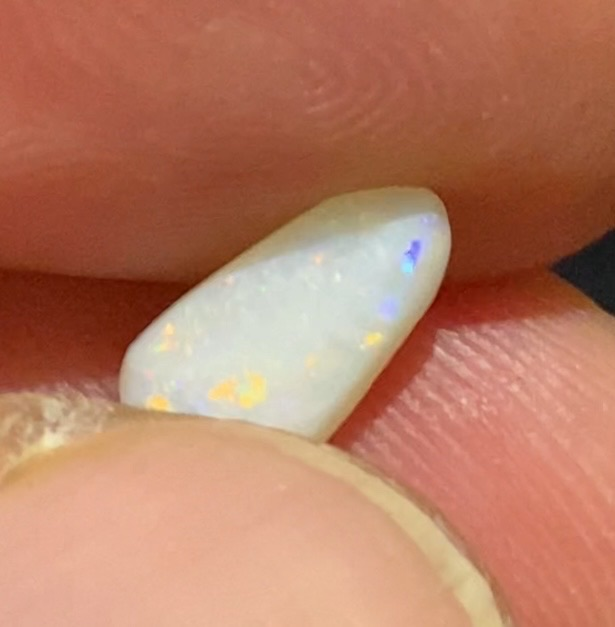 Aussie billede 8
