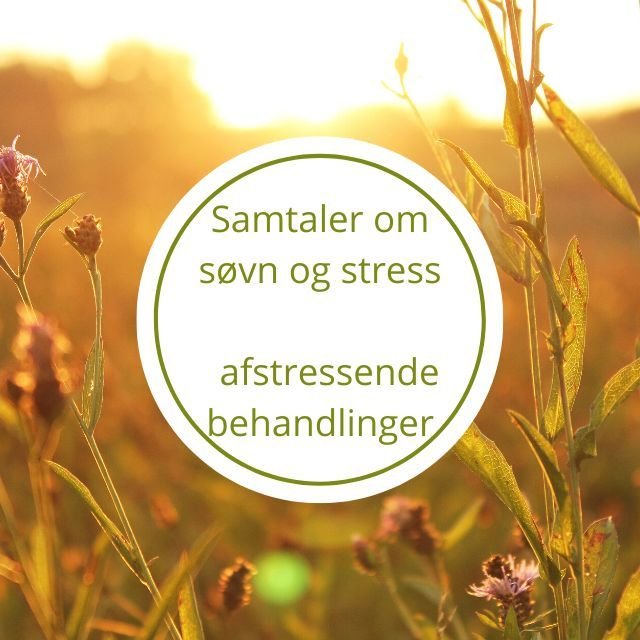 Stress- og søvnsamtale og afstressende behandling