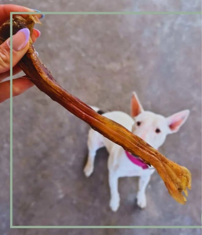 Tørret bøffelsener. Allagivenlig snacks 