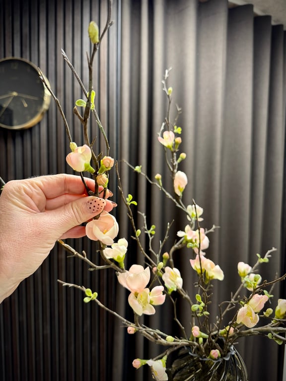 Æble gren  billede 7