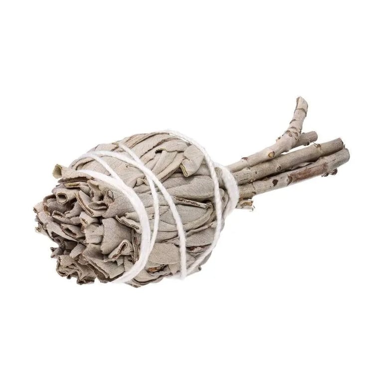 Bundle af tørrede salvieblade bundet sammen med en hvid snor mod hvid baggrund. (2)