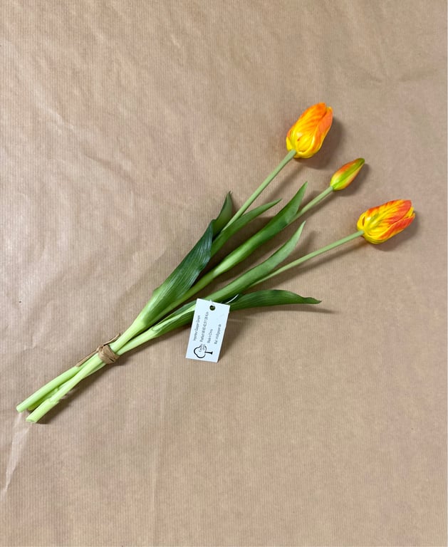 Tulipaner 3 stk. orange billede 3
