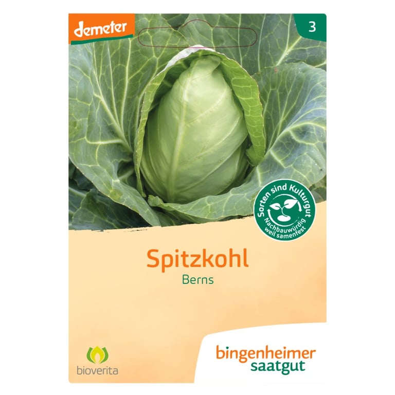 Frøpakke med spidskål, mærket "Spitzkohl Berns" fra bingenheimer saatgut, med billede af et spidskålshoved.