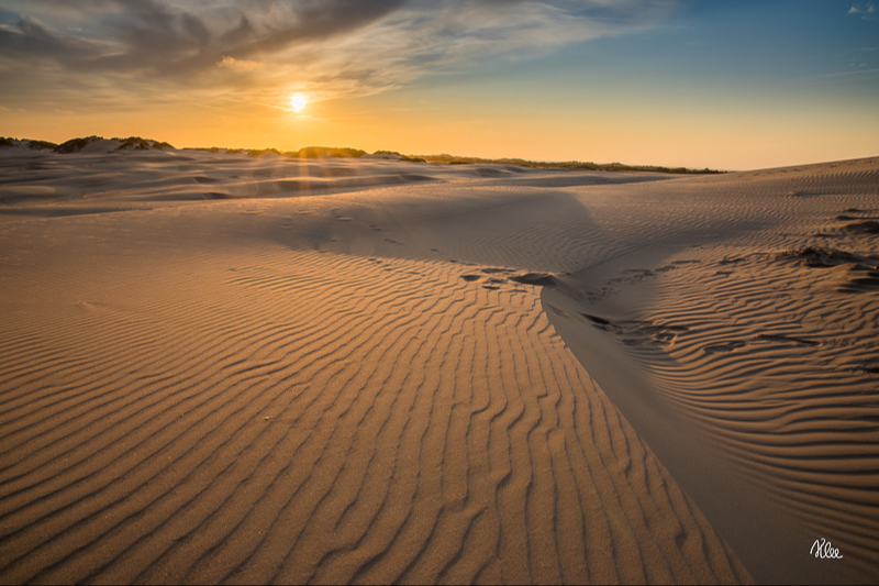 Aftenlys lige før solnedgang på Råbjerg mile i Skagen en smuk sommeraften