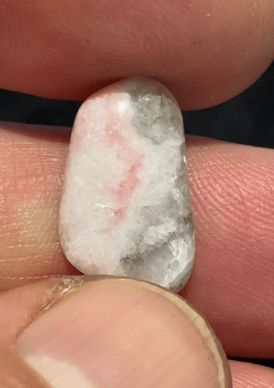 Albino billede 6