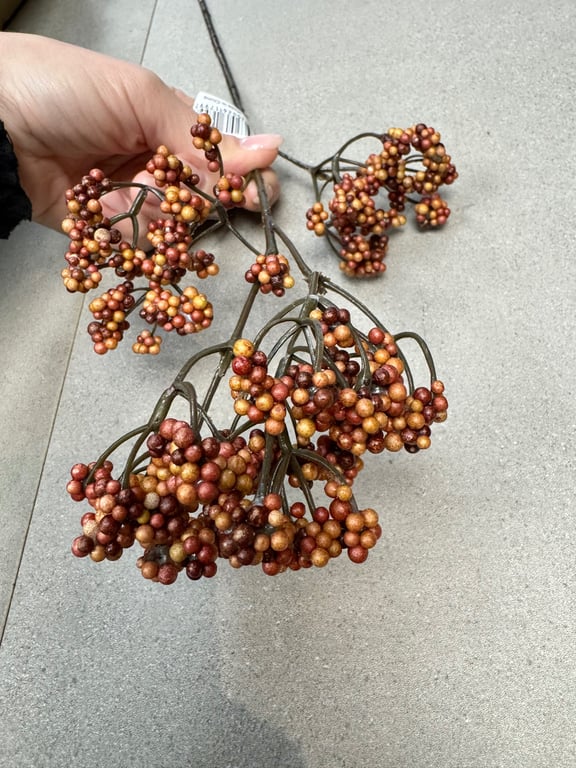 Orange stilk billede 2