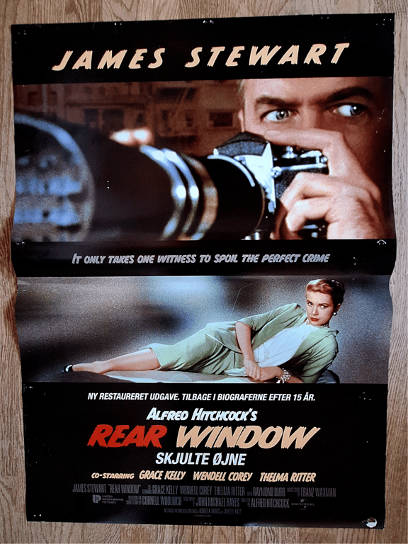 Skjulte Øjne - Rear Window