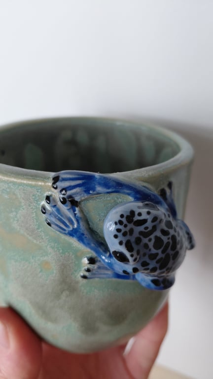 giftfrø kop billede 3