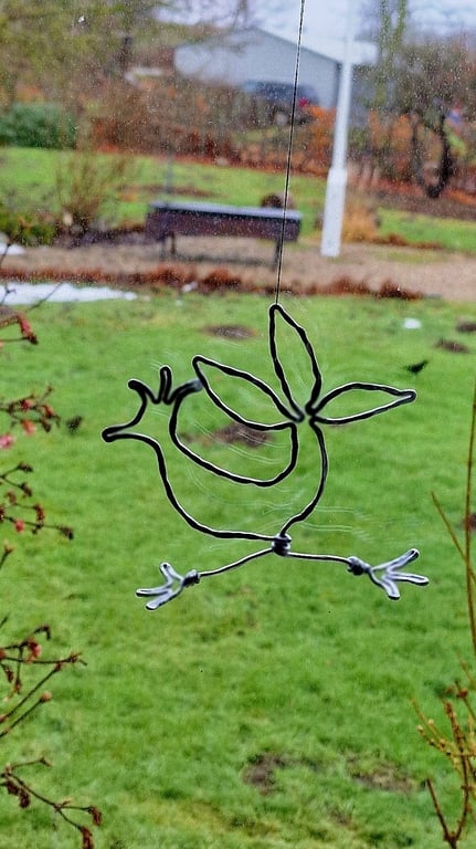 Travle høns billede 3