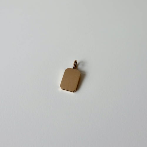 Dog Tag vedhæng guld (3)