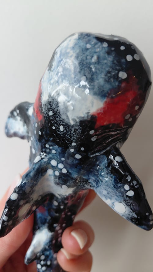 nebula hvalhaj, væghængt  (4)