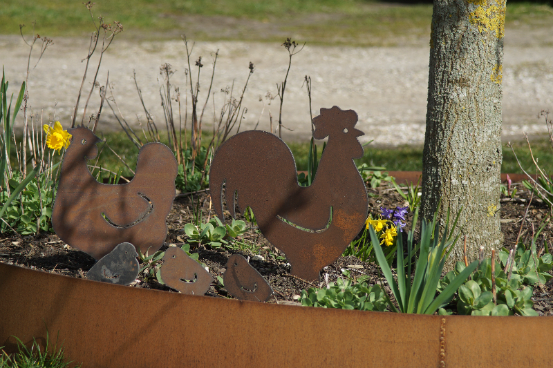 Rustfarvede metalfigurer af en høne, en hane og tre kyllinger i en rund plantebed med grønne planter og forårsblomster ved en træstamme.
