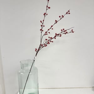 Rød bær – produktbillede