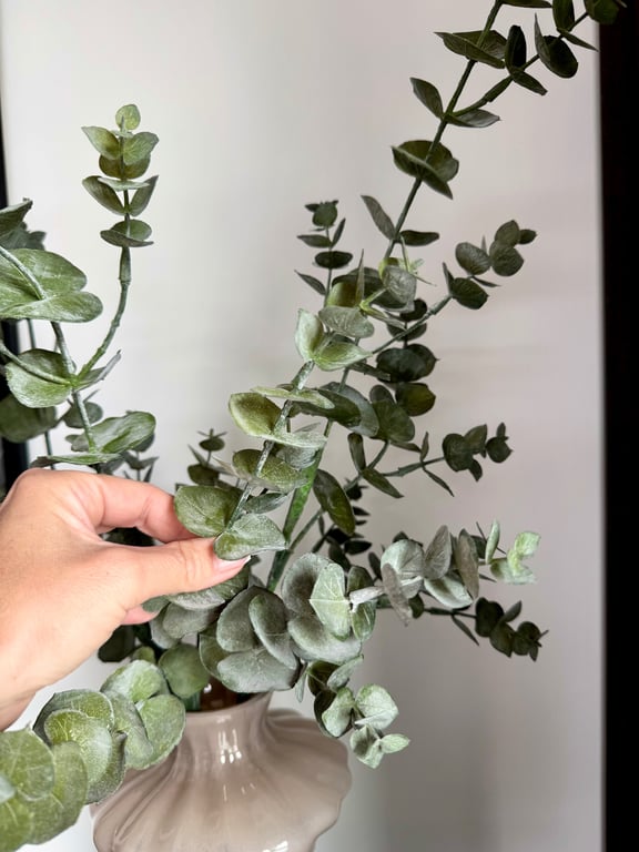 eucalyptus gren 75 cm billede 3