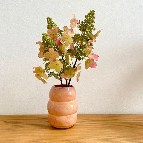 Rosa boblevase (2)