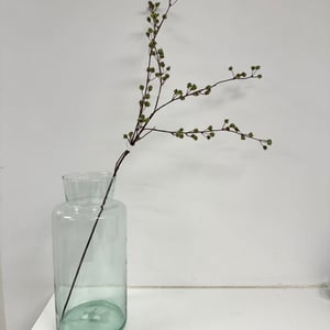 Grøn bær  – produktbillede