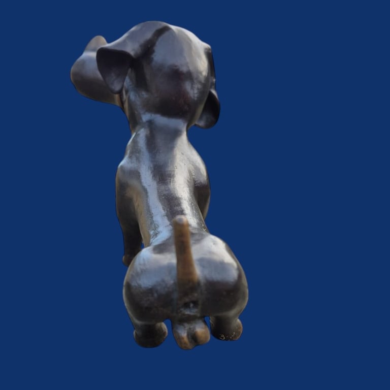 Karikatur Gravhund (Han)  billede 3